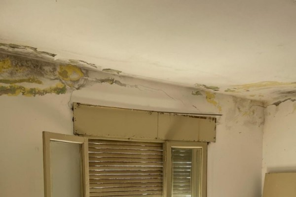 B. Mitre 550 - Ocativo