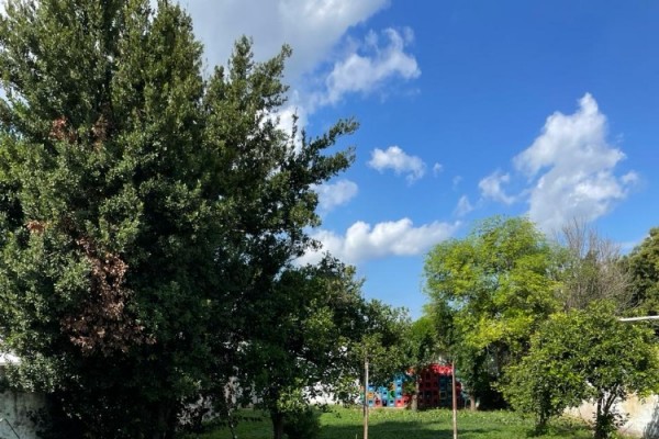 Casa Calle 25 de Mayo 319