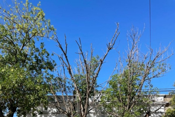 Casa Calle 25 de Mayo 319