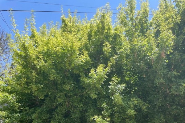 Casa Calle 9 de Julio Frente Plaza San Martín