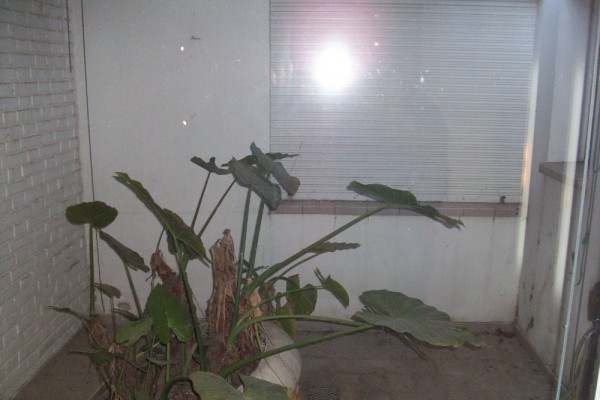 Casa Calle 25 de Febrero 335 