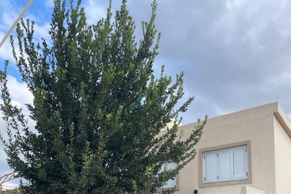 Casa y Galpón Calle Dean Funez