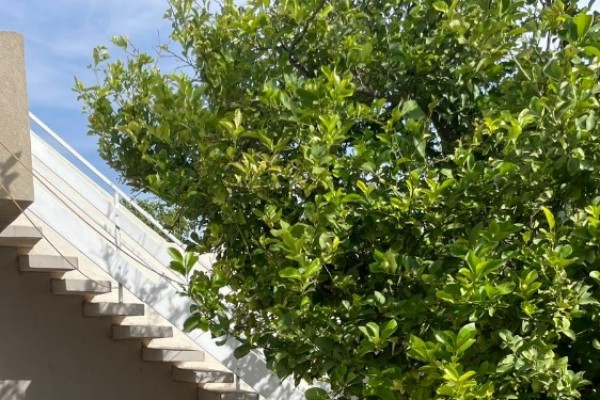 CASA EN VENTA. SAN MARTIN 338