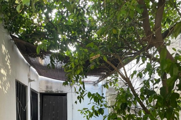 CASA CENTRICA. PIACENZA Y LA TABLADA