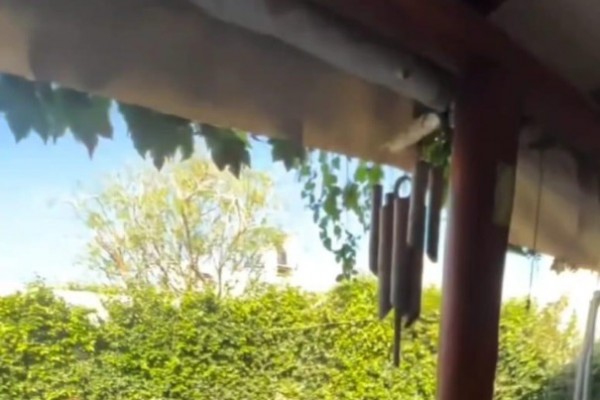 Calle Sarmiento 1365