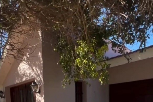 Calle Sarmiento 1365