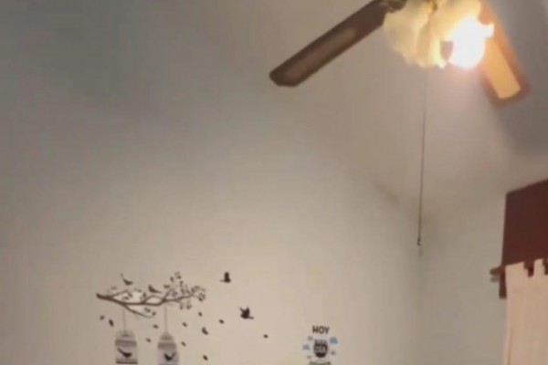 Calle Sarmiento 1365